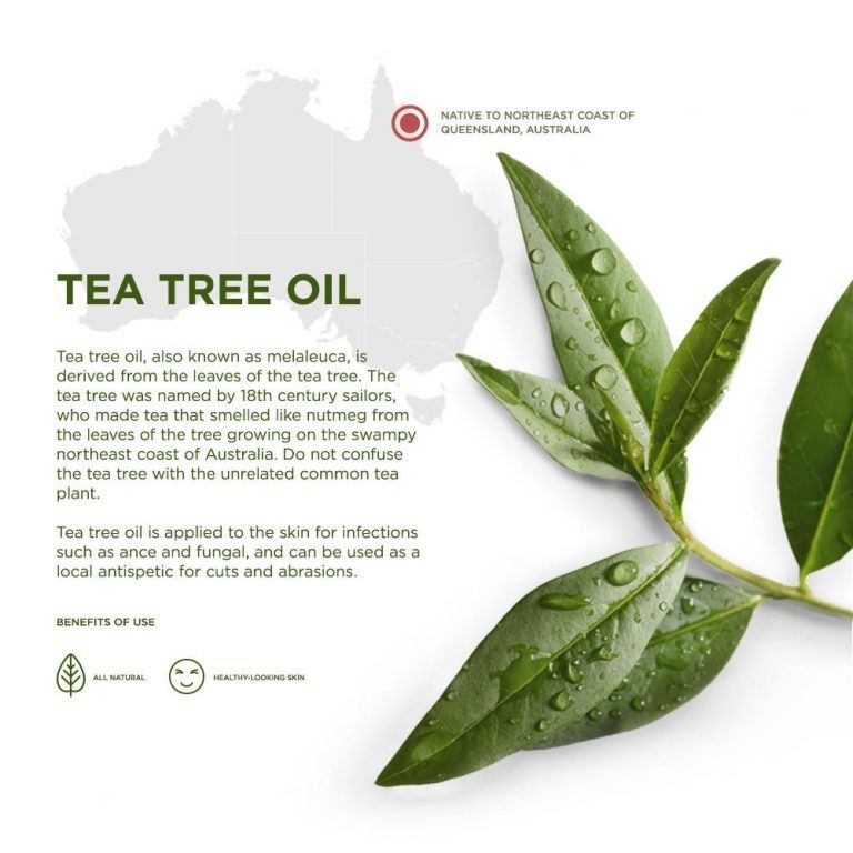 Keeva Tea Tree Oil for Acne Treatment Cream Review